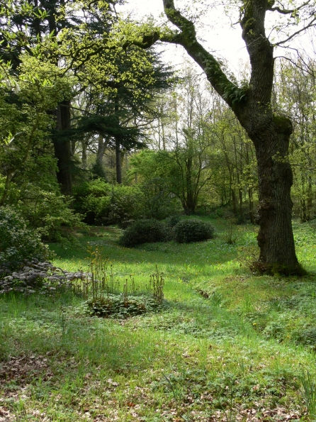 Bois des Moutiers (67) Mai 2012